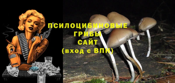 наркотики Абаза