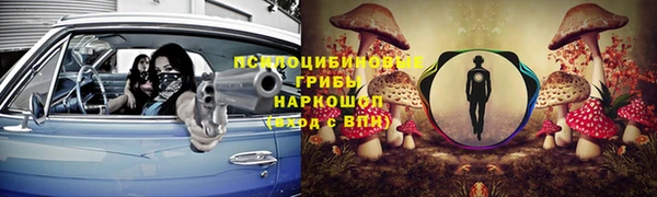 соль ск Протвино