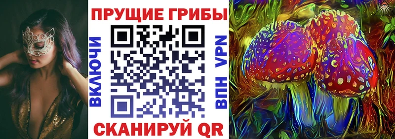 мега онион  где купить наркоту  Саранск  Псилоцибиновые грибы мицелий 