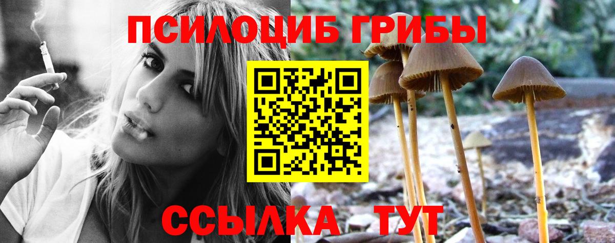 Псилоцибиновые грибы Cubensis Саранск