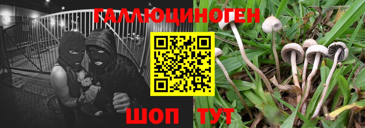 Галлюциногенные грибы Magic Shrooms  Вход с VPN  Саранск 